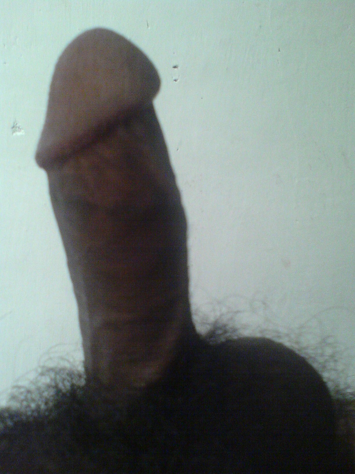 my cock