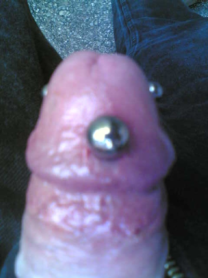 penis piercings 